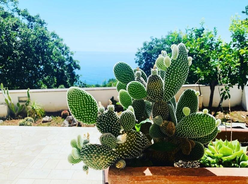Casa Al Mare Rio B&n Holiday home *
