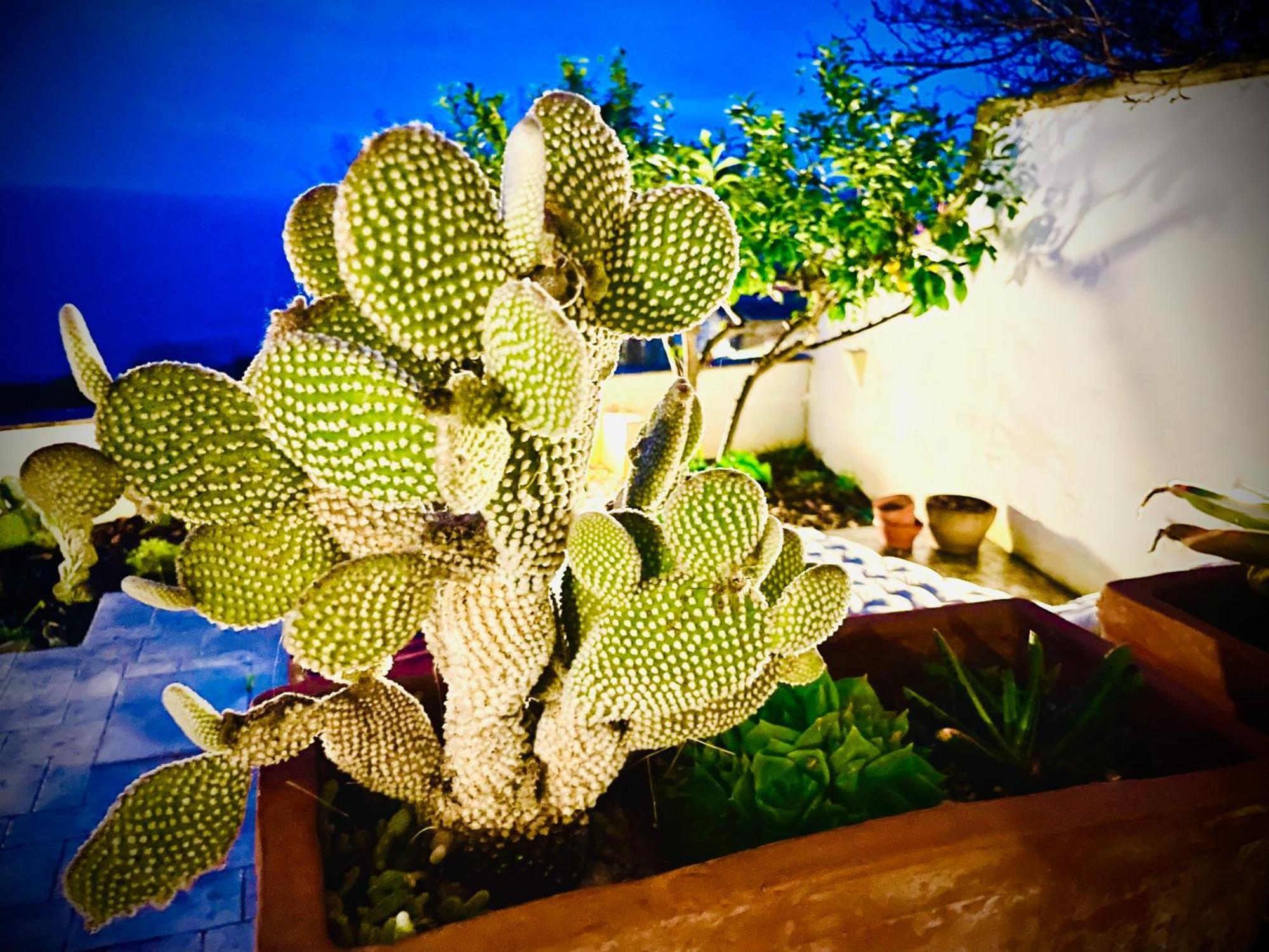 Casa Al Mare Rio B&n Holiday home