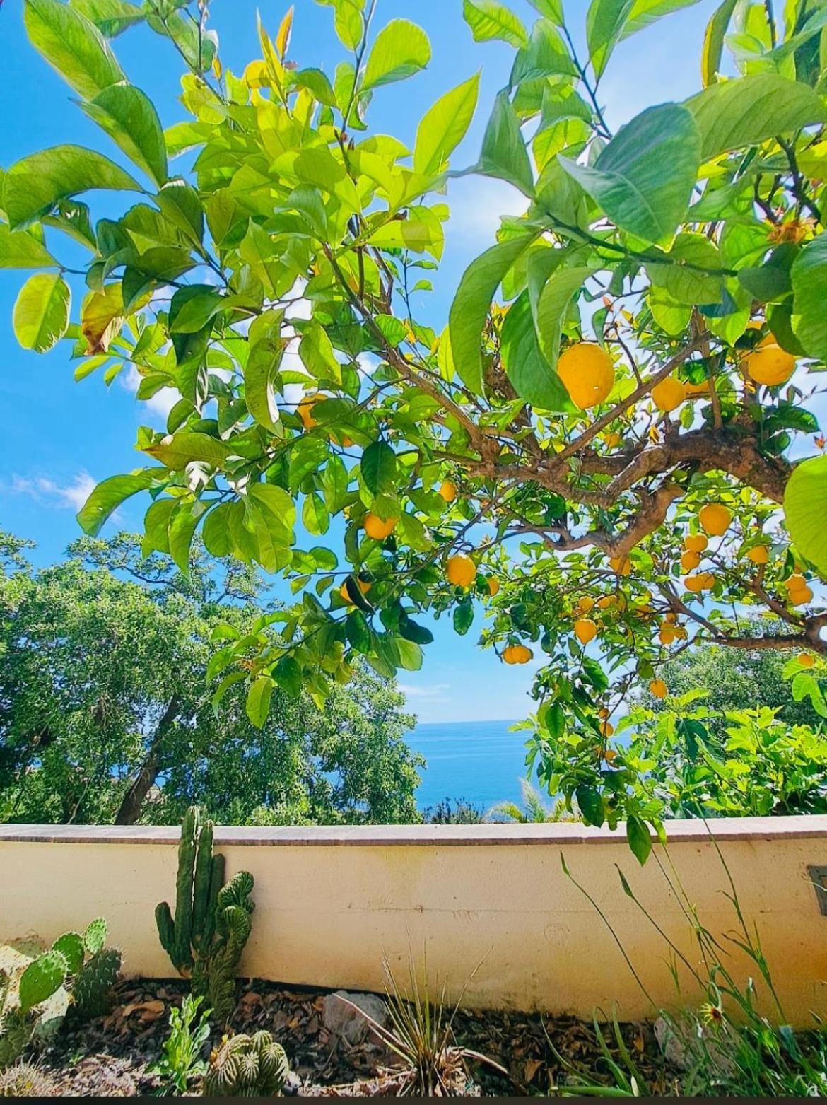 Casa Al Mare Rio B&n Vakantiehuis *